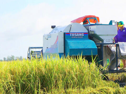 Giá lúa gạo hôm nay ngày 5/4, tuần qua: Tấm thơm giảm nhẹ