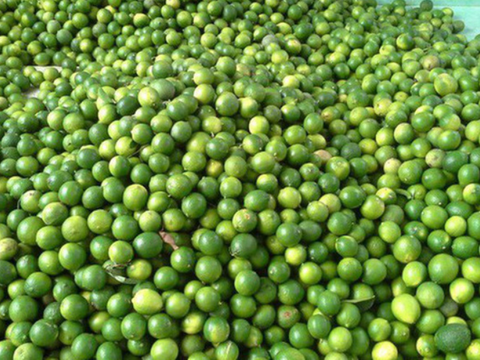 Giá nông sản hôm nay 8/4: Giá chanh tăng mạnh, cà phê thế giới giảm