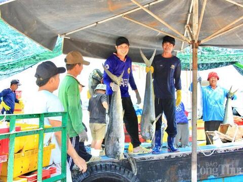 Chuẩn hóa sản xuất, Gia Lai hướng mục tiêu xuất khẩu 3,05 tỷ USD