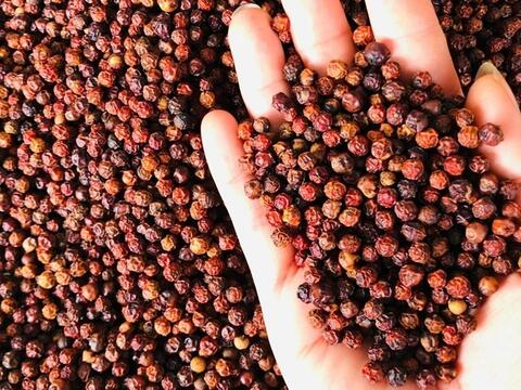 Bản tin nông sản hôm nay (13-4): Giá hồ tiêu tăng nhẹ