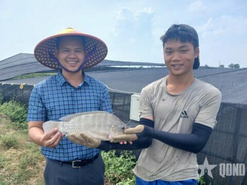 Cá rô phi có tiềm năng thành mặt hàng xuất khẩu chủ lực
