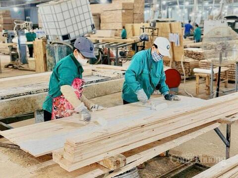 Ngành gỗ Gia Lai: Vượt thách thức, tăng trưởng ấn tượng