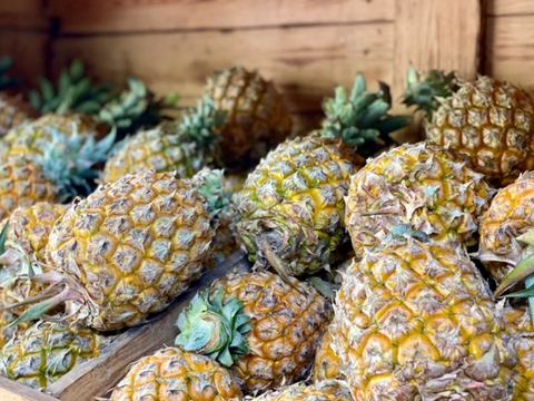 Giá nông sản hôm nay 16/4/2026: Nhiều mặt hàng biến động mạnh