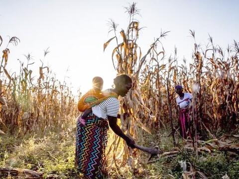 Xung đột Trung Đông: Những “điểm gãy” kinh tế toàn cầu