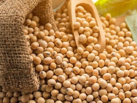Giá dầu đậu tương tăng vọt