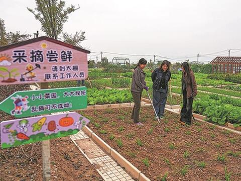 “Cơn sốt đồng ruộng” ở giới trẻ Trung Quốc