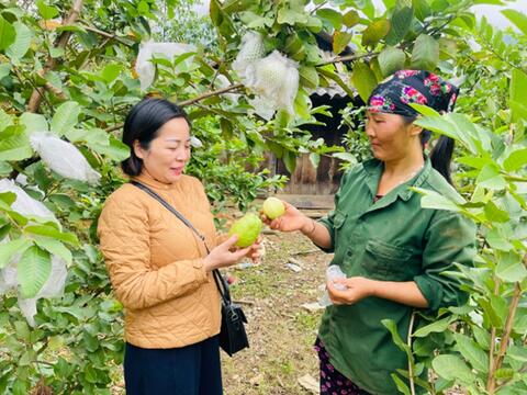 Đẩy mạnh phát triển kinh tế, nâng cao đời sống nhân dân
