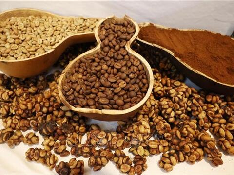 Bản tin nông sản hôm nay (7-5): Giá cà phê tăng nhẹ