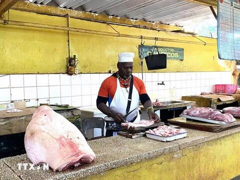 Nhiều nước và tổ chức quốc tế tiếp tục ủng hộ Cuba