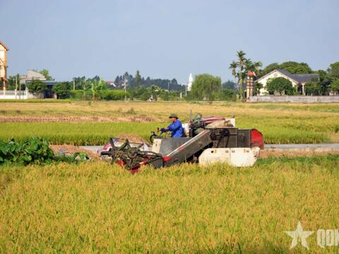 Giảm phát thải trồng trọt để tăng tính cạnh tranh nông sản Việt trên thị trường