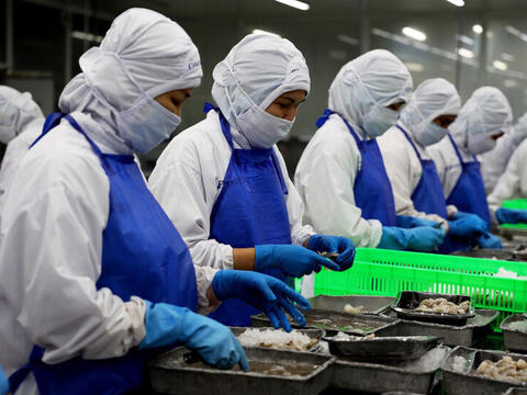 Chủ động cập nhật quy định ghi nhãn trong RCEP, tránh rủi ro xuất khẩu