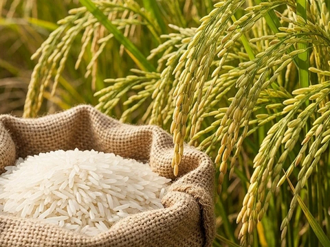 Doanh nghiệp sản xuất thực phẩm thích ứng với quy định mới của Trung Quốc