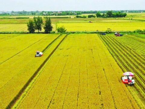 Tín dụng xanh – động lực thúc đẩy chuyển đổi nông nghiệp xanh bền vững trước tác động của biến đổi khí hậu