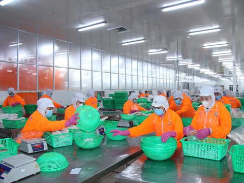 Tín dụng tăng tốc cùng nhịp phục hồi kinh tế tại TP. Cần Thơ và tỉnh Vĩnh Long