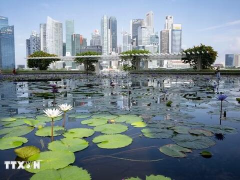 Động lực mới cho hợp tác khoa học công nghệ Việt Nam - Singapore