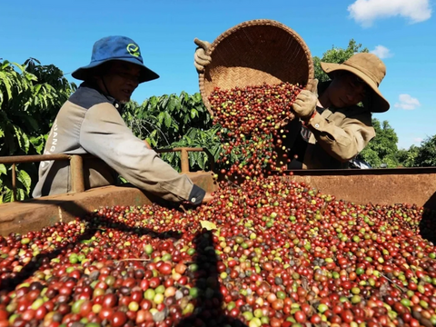 Chủ động dữ liệu để nông sản Việt không bị động trước EUDR