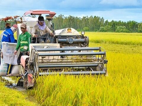 Sản xuất nông nghiệp phục hồi, nuôi trồng thủy sản tiếp tục khởi sắc