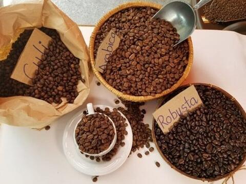 Xuất khẩu cà phê chế biến tăng, thúc đẩy giá trị ngành hàng