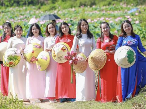 Đà Nẵng: Khai thác đa giá trị từ cây sen