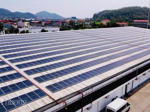 Mở rộng cơ chế, tạo động lực phát triển điện mặt trời
