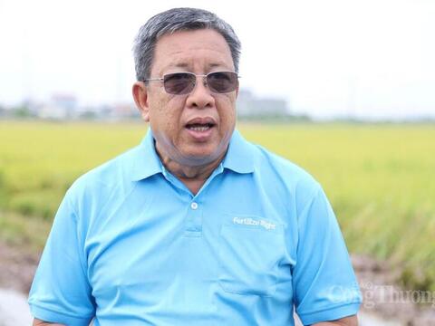 Thị trường EU đang mở ra hướng đi mới cho gạo Việt Nam