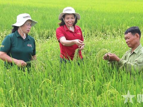 Mở rộng giá trị nông nghiệp qua xuất khẩu giống cây trồng