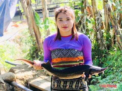 Thanh Hóa: Cá tầm OCOP 3 sao và khát vọng làm giàu nơi vùng cao