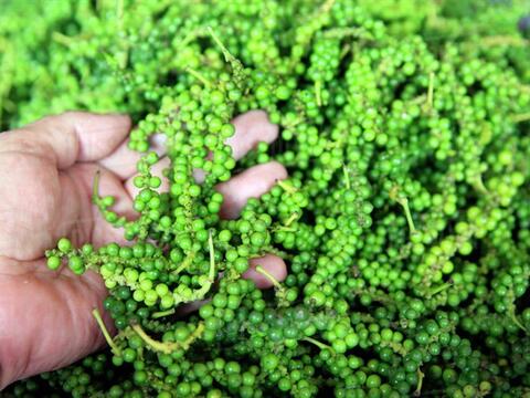Bản tin nông sản hôm nay (26-6): Giá cà phê trong nước và thế giới đồng loạt tăng