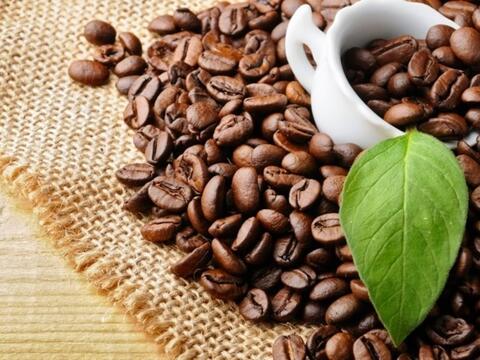 Bản tin nông sản hôm nay (9-7): Giá cà phê bất ngờ quay đầu giảm