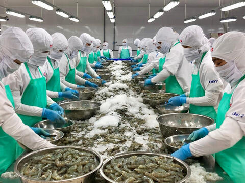 Xuất khẩu thủy sản Việt Nam trước cơ hội mới từ FTA Việt Nam - EFTA