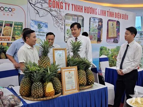 Sản xuất và chế biến xanh để nâng cao chuỗi giá trị nông sản Điện Biên