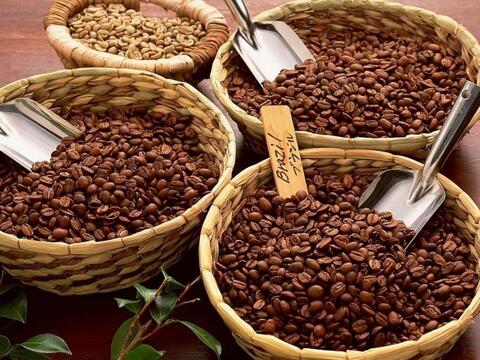 Bản tin nông sản hôm nay (28-7): Giá cà phê ổn định, giá hồ tiêu tăng