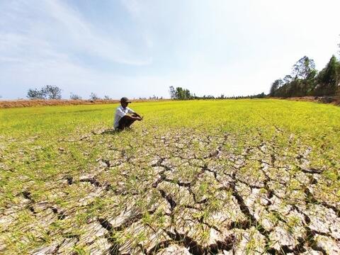 Xâm nhập mặn có thể lấn sâu tại Đồng bằng sông Cửu Long do tác động của El Nino