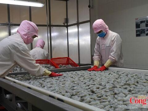 Cà Mau: Giữ đà tăng trưởng, tạo nền tảng bứt tốc những tháng cuối năm