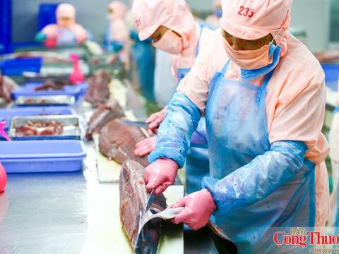 VIFTA mở thêm dư địa cho hàng Việt tại thị trường Israel