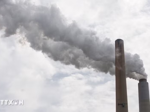 Giải mã vai trò quan trọng của thị trường carbon EU