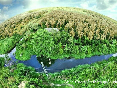 Thị trường carbon: Biến sức ép thành lợi thế cạnh tranh