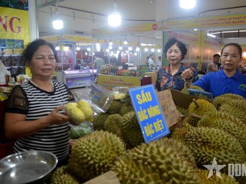 Gỡ khó cho xuất khẩu sầu riêng