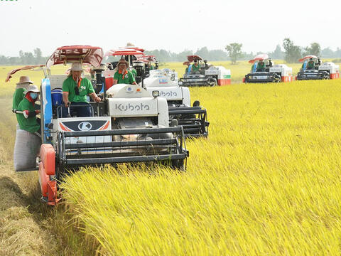 Dòng vốn ưu đãi đổ vào nông nghiệp: Bơm đúng mạch, tạo lực cho tăng trưởng
