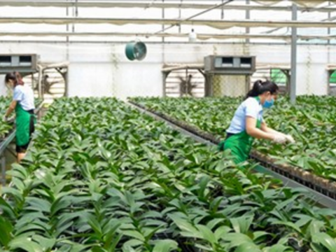 Nông nghiệp sinh thái mở ra hướng đi bền vững