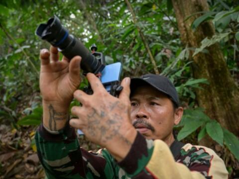Người dân làng ở Indonesia được trả tiền để quan sát động vật hoang dã