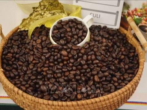 Bản tin nông sản hôm nay (20-9): Giá cà phê ổn định
