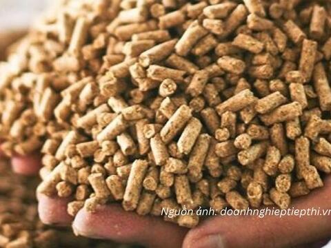 33 thông báo SPS mới, nhiều quy định đáng chú ý với hàng xuất khẩu