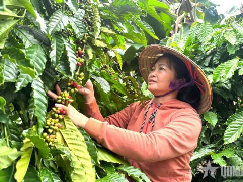 Những nữ nông dân thay đổi tư duy, làm chủ ruộng vườn