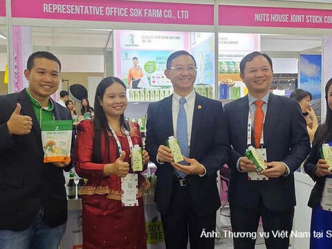Kim ngạch thương mại Việt Nam - Singapore lập kỷ lục mới, tăng gần 50%
