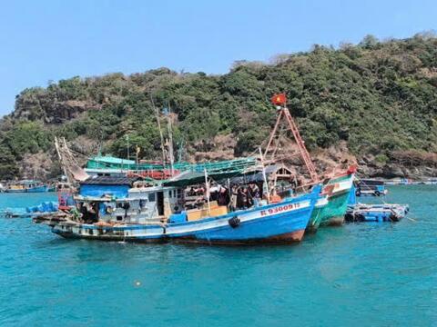 Làm rõ trách nhiệm trong việc chống khai thác hải sản bất hợp pháp ở Cà Mau