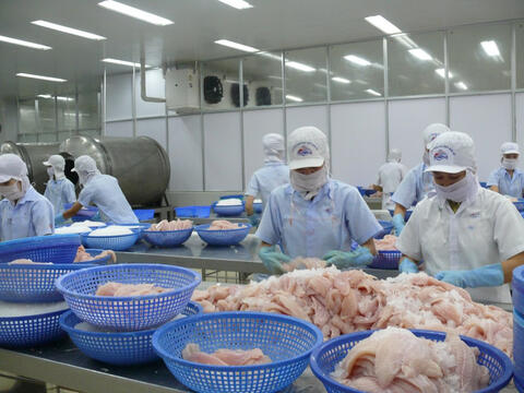 Tín dụng mở đường cho động lực tăng trưởng hai tỉnh Đồng Tháp và Tây Ninh