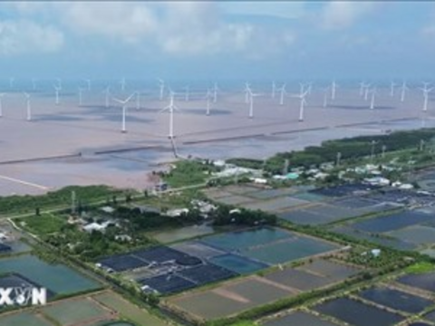 Điện gió ngoài khơi Việt Nam: Cơ hội hợp tác đầu tư với Na Uy