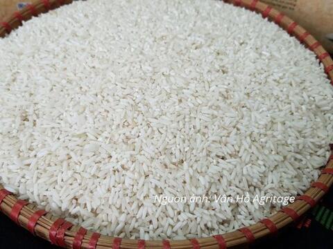 Nâng giá trị hạt gạo, mở dư địa cạnh tranh