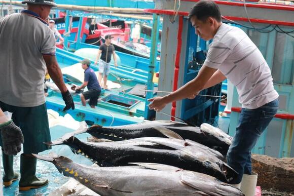 Gỡ 'thẻ vàng' IUU: Chìa khóa và cơ hội nâng tầm thủy sản Việt